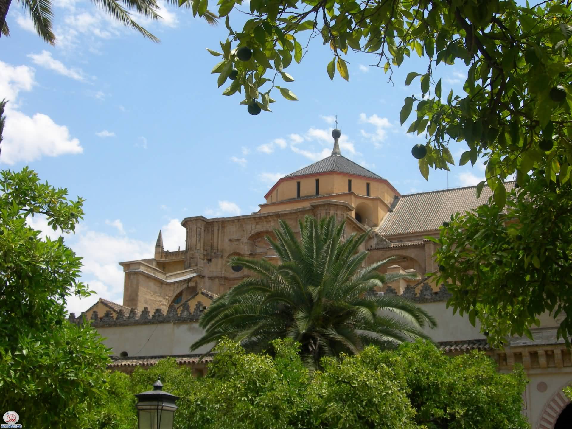 The Mezquita, Cordoba, Spain